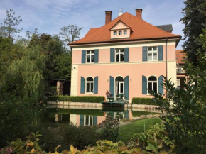 Vila Anna, Želízy